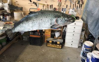 Esculturas hiperrealistas de animales