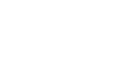 Logo Ikigai