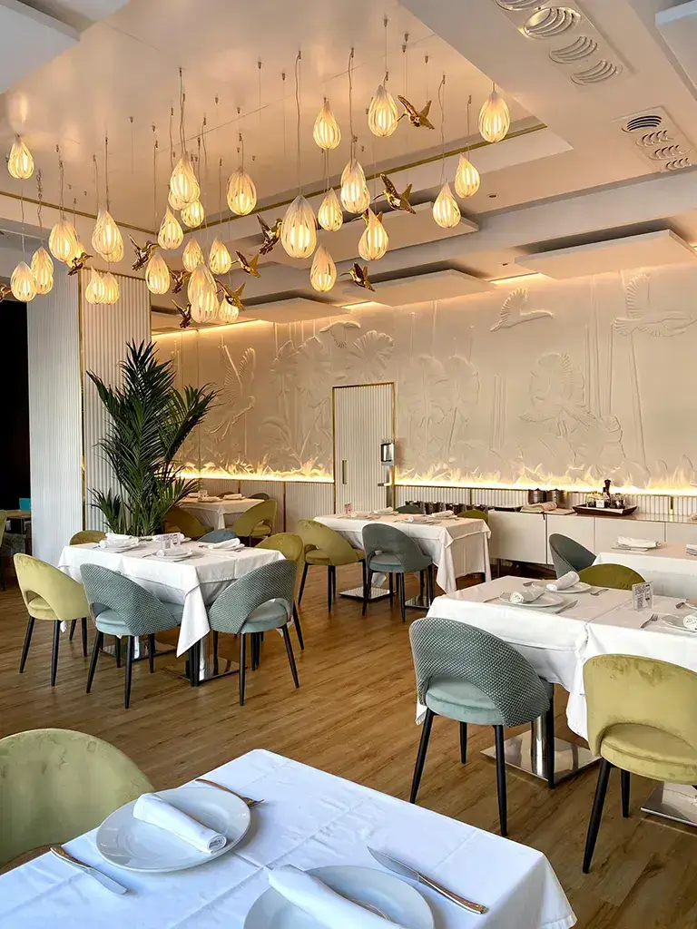 Decoración del techo restaurante olmo