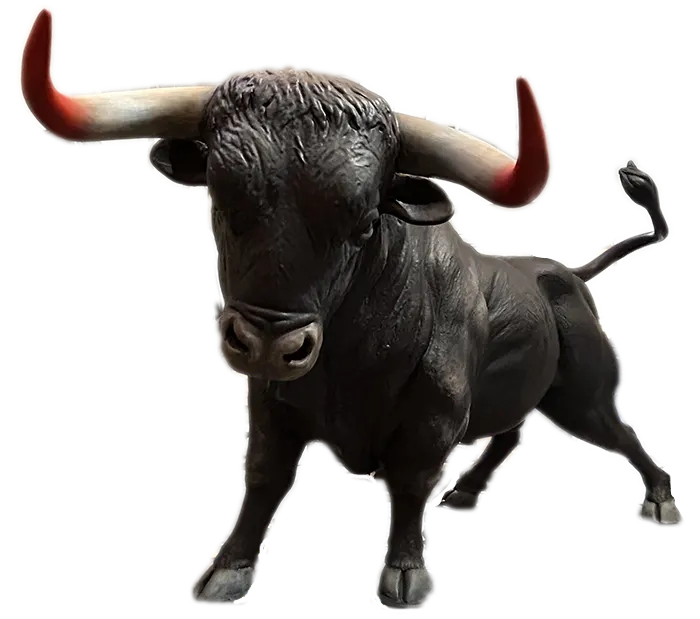 toro 1